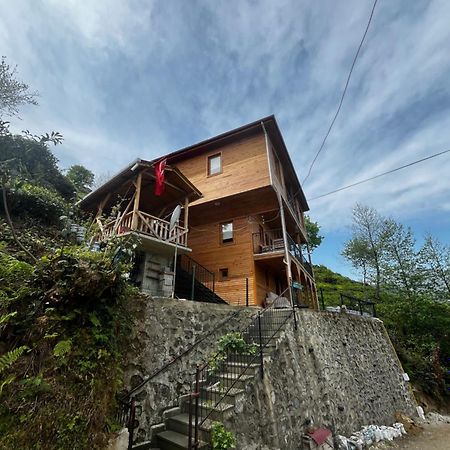 Aslan Dag Evi Villa Taskopru  Exterior photo